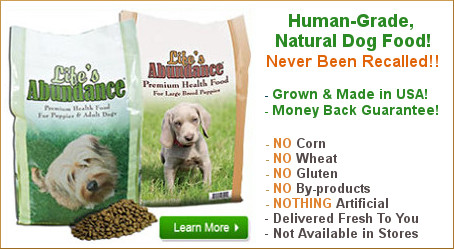 Human-grade, Natural Dog Food