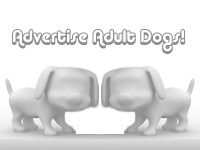 Add Your Adult Dog NOW! - Greyhound Adult Dog